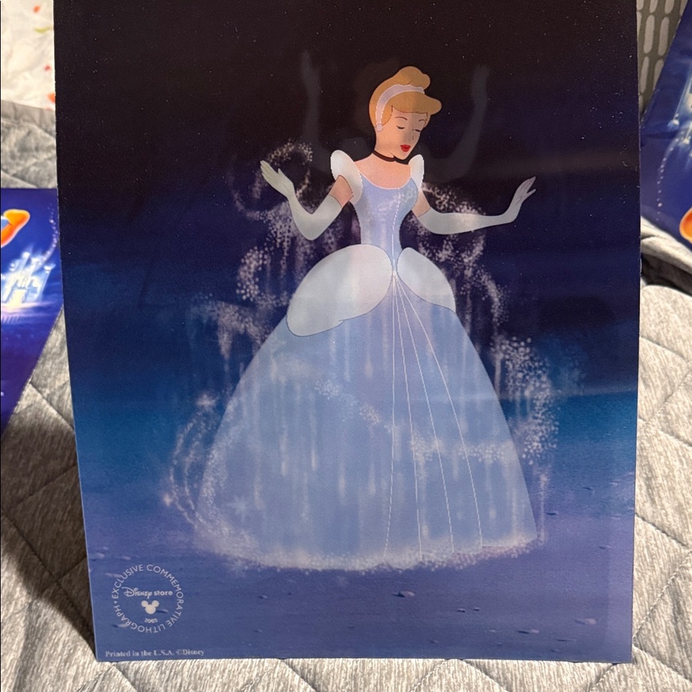 Disney Store Cinderella Lithograph Moving Art Cover Exclusive 2005 - Picture 3 of 6